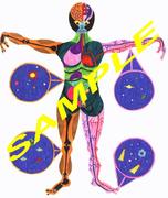 anatomy, this imaginative and colorful drawing/poster is about human anatomy with a cosmic view